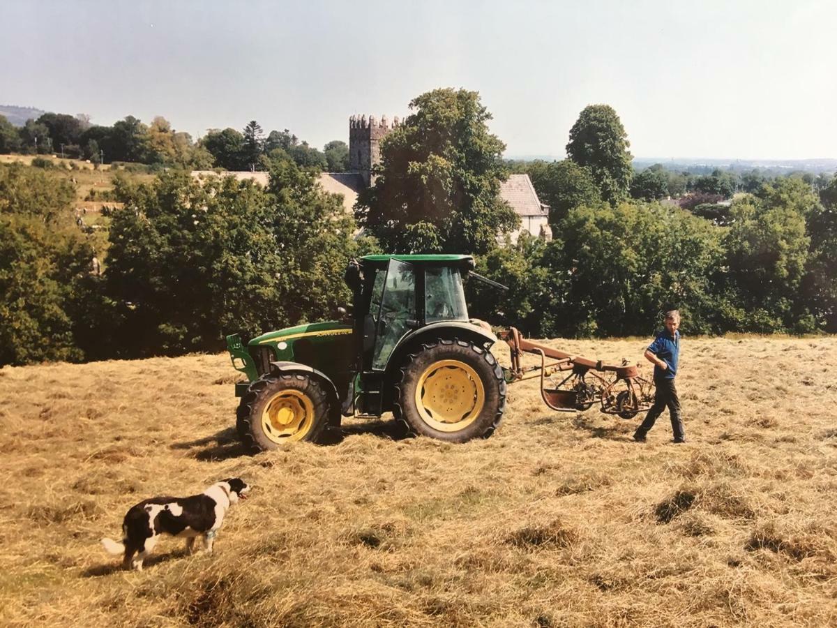 Carey'S Bar & Farmhouse Kilkenny Border Oldleighlin Exterior foto