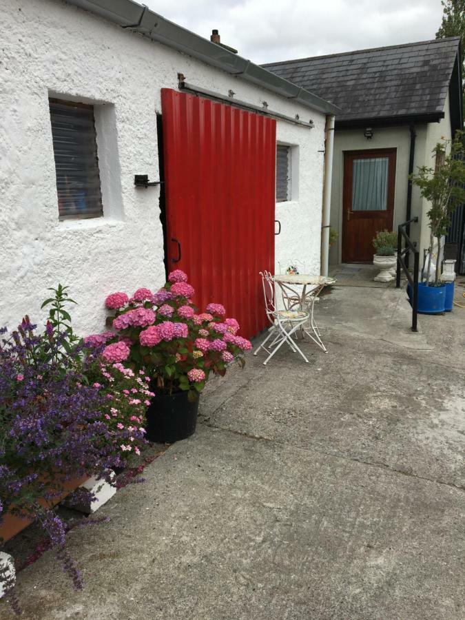 Carey'S Bar & Farmhouse Kilkenny Border Oldleighlin Exterior foto